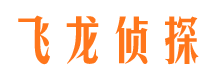 成武市调查公司